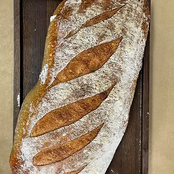 Vitt levain